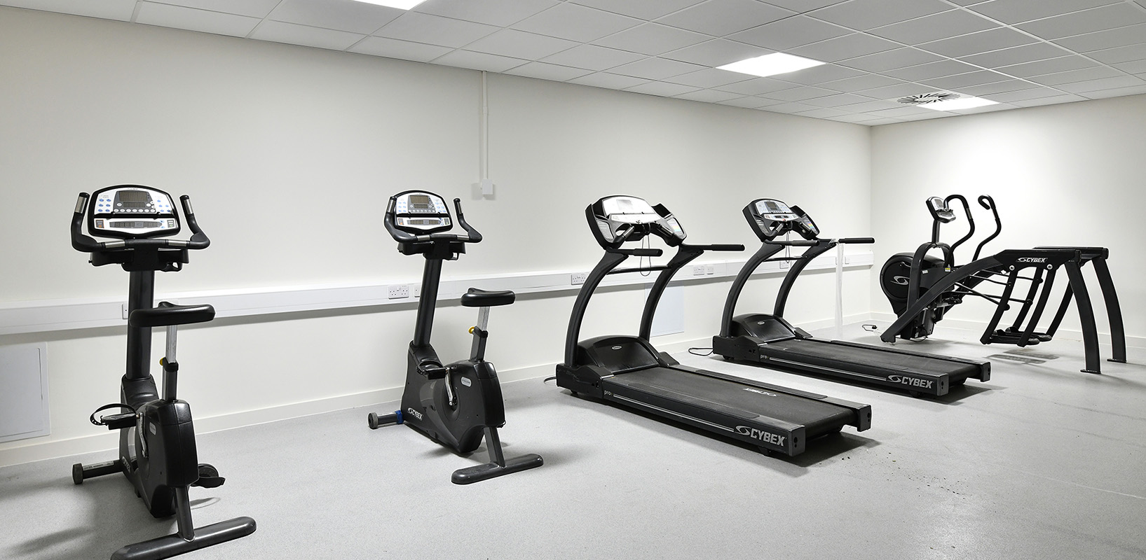 Gym 3